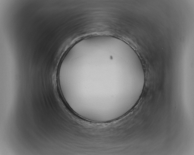 X0000111950002200908101231