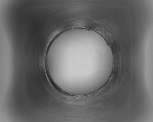 X0000111950003200908101231