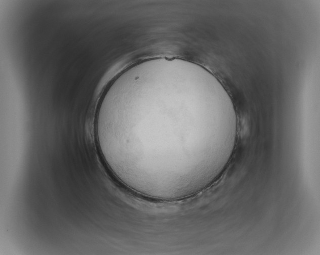 X0000111950004200908101231