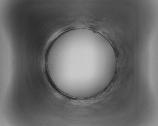 X0000111950005200908101231