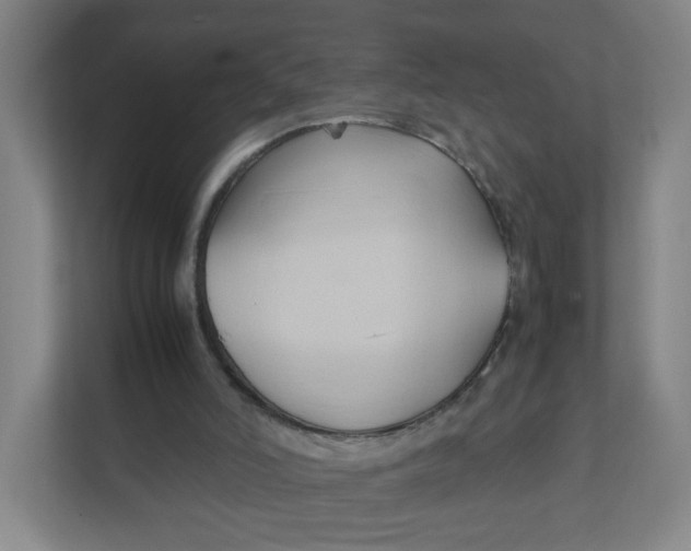 X0000111950006200908101231