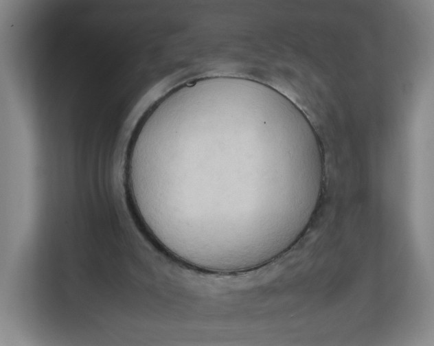 X0000111950007200908101231