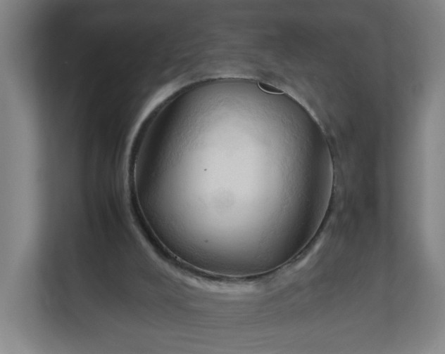 X0000111950008200908101231