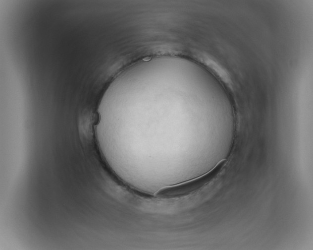 X0000111950009200908101231