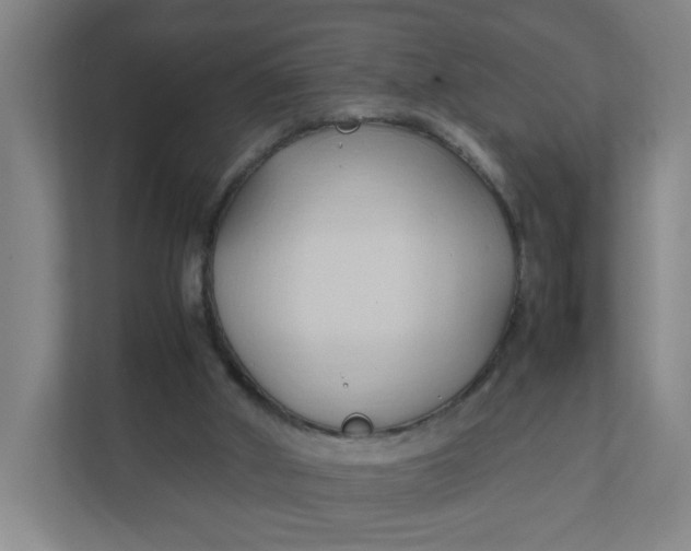 X0000111950010200908101231