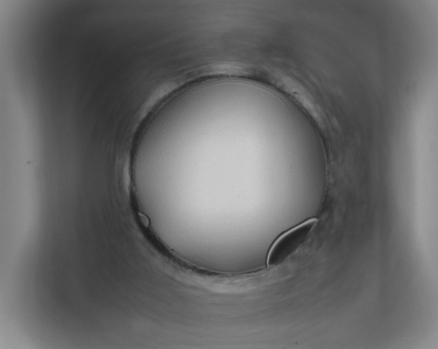 X0000111950011200908101231