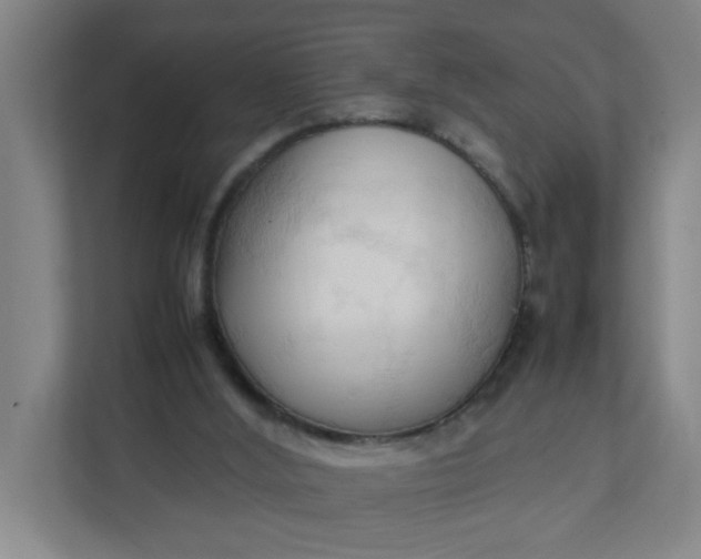 X0000111950012200908101231