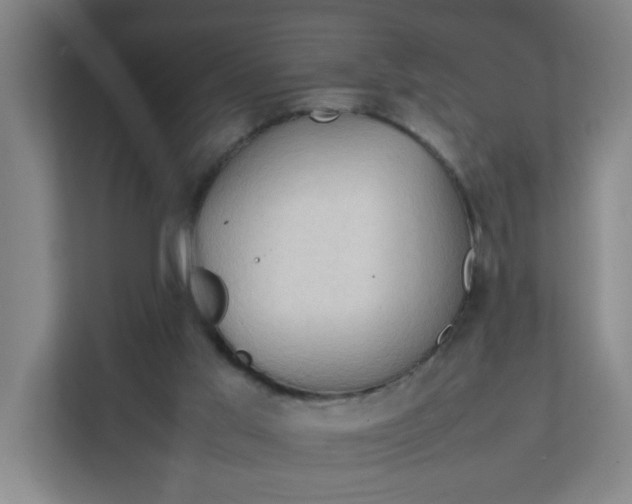 X0000111950013200908101231