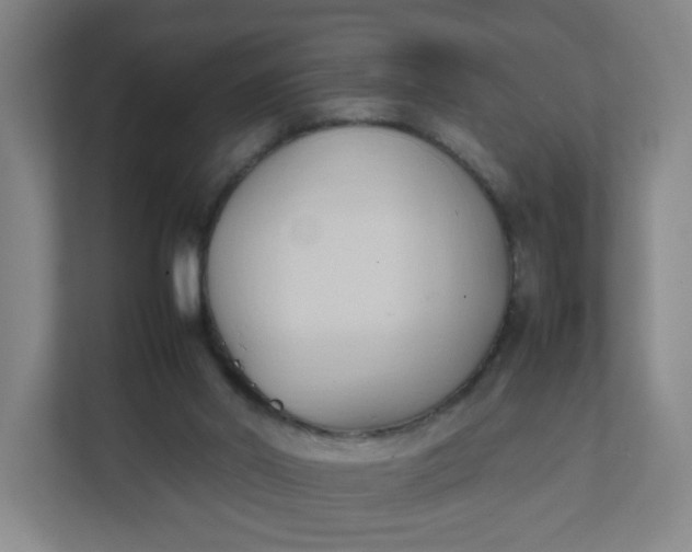 X0000111950014200908101231