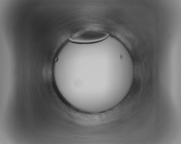 X0000111950015200908101231