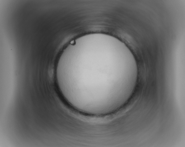 X0000111950016200908101231