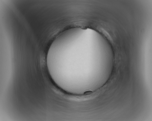 X0000111950017200908101231