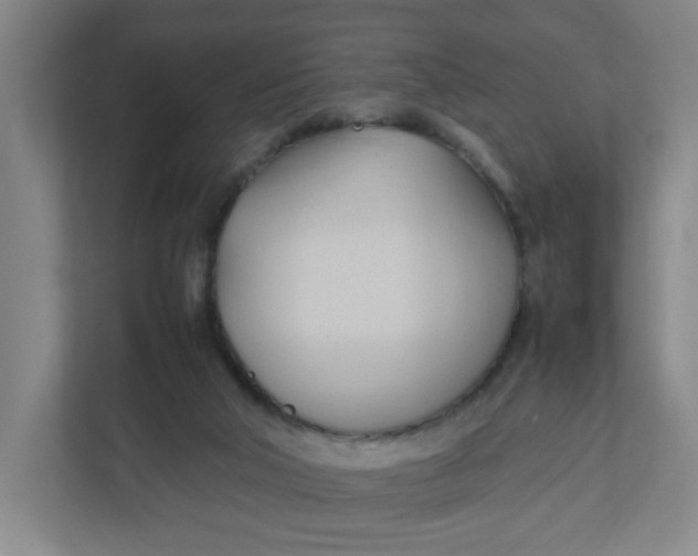 X0000111950018200908101231