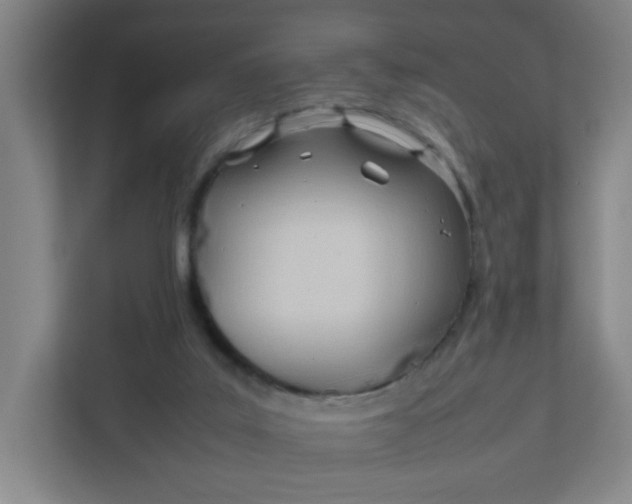 X0000111950019200908101231