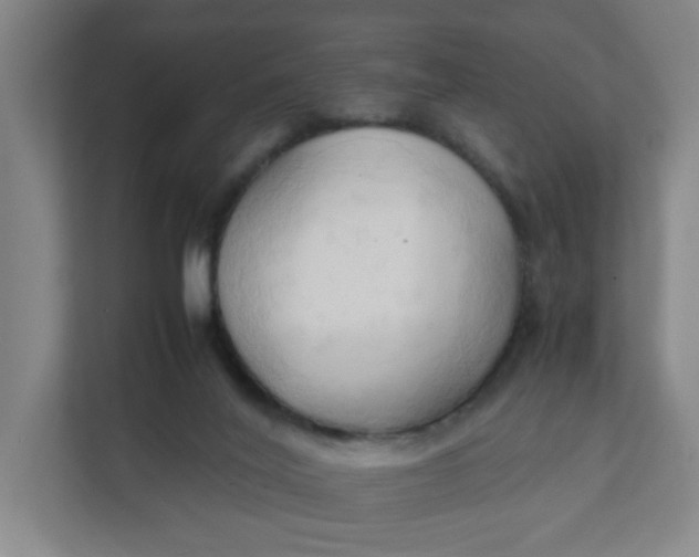 X0000111950020200908101231