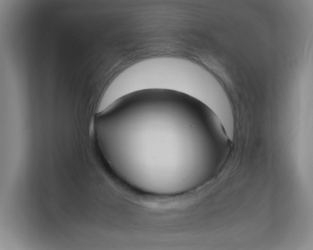 X0000111950021200908101231