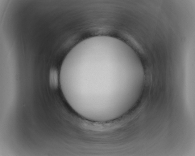 X0000111950022200908101231