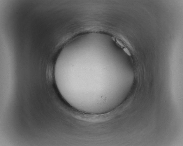 X0000111950023200908101231