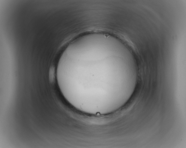 X0000111950024200908101231