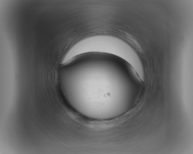 X0000111950025200908101231