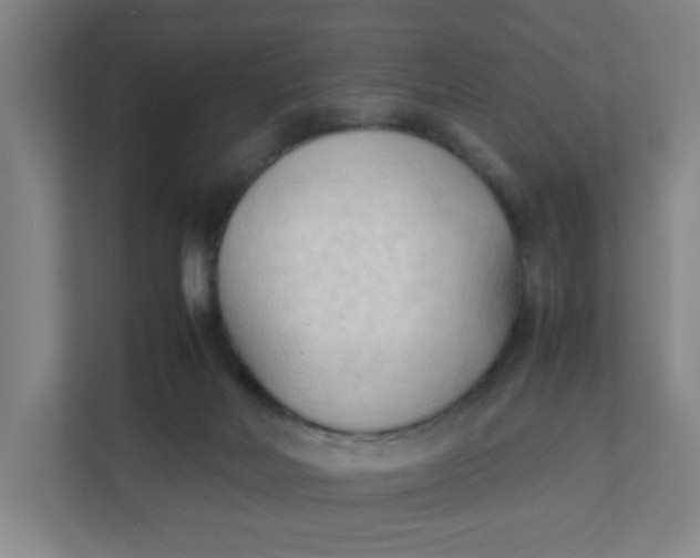 X0000111950026200908101231