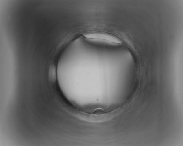 X0000111950027200908101231