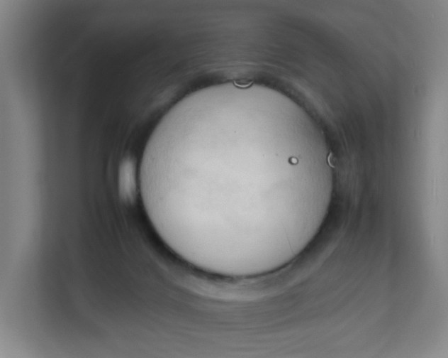 X0000111950028200908101231