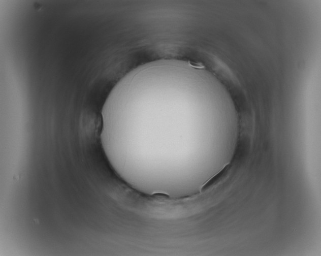 X0000111950029200908101231