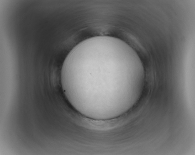 X0000111950030200908101231