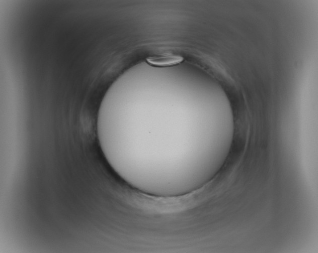 X0000111950031200908101231