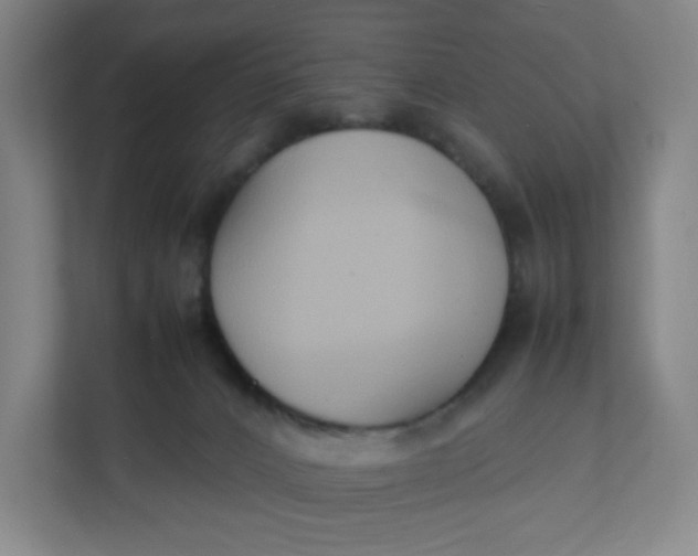 X0000111950032200908101231