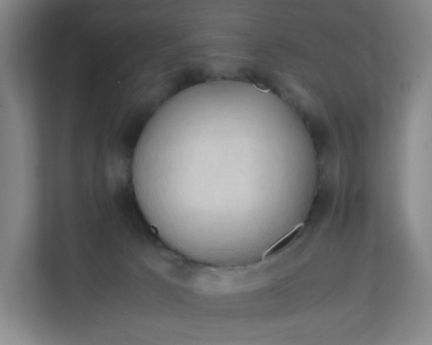 X0000111950033200908101231