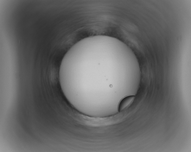 X0000111950034200908101231