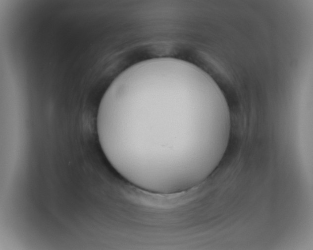 X0000111950035200908101231