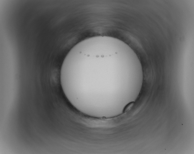 X0000111950036200908101231