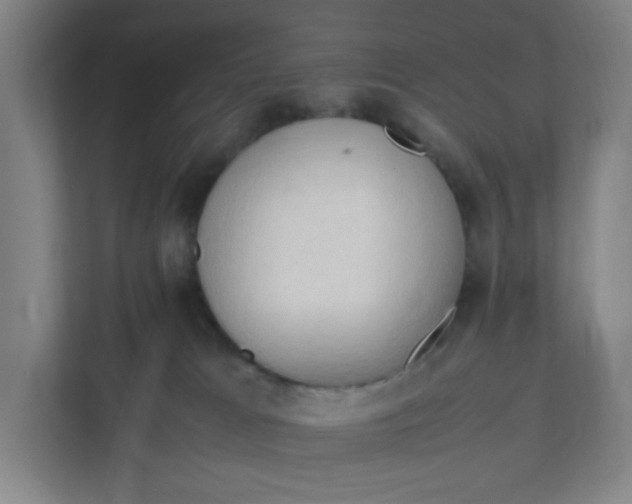 X0000111950037200908101231