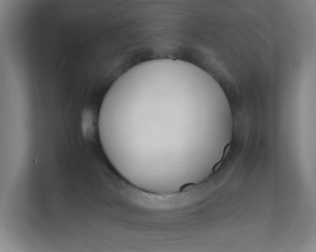 X0000111950038200908101231