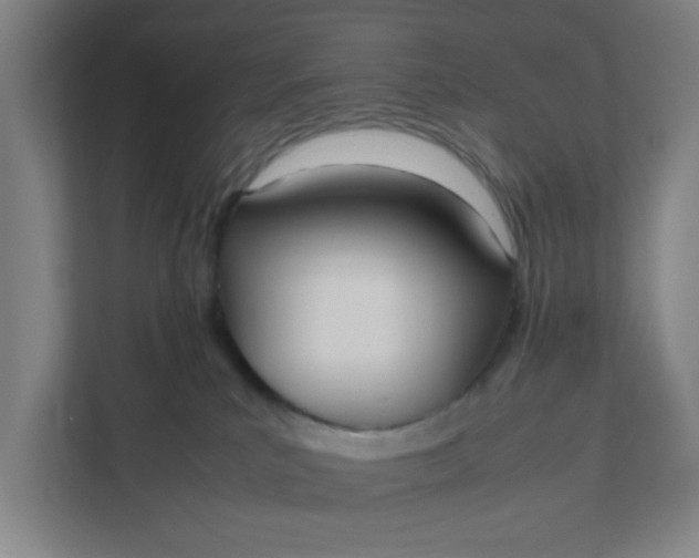 X0000111950039200908101231