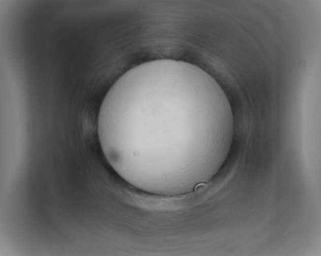 X0000111950040200908101231