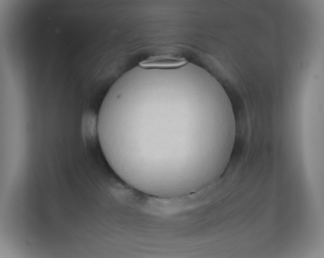 X0000111950041200908101231