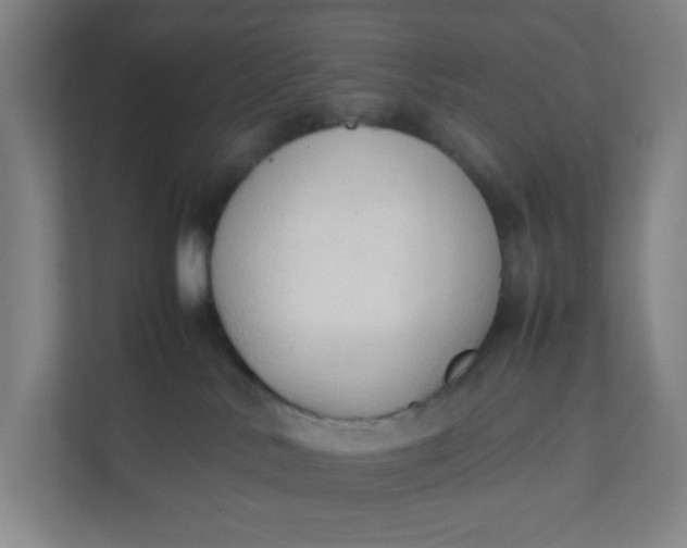 X0000111950042200908101231