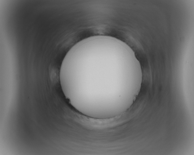 X0000111950043200908101231