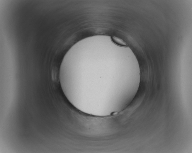 X0000111950044200908101231