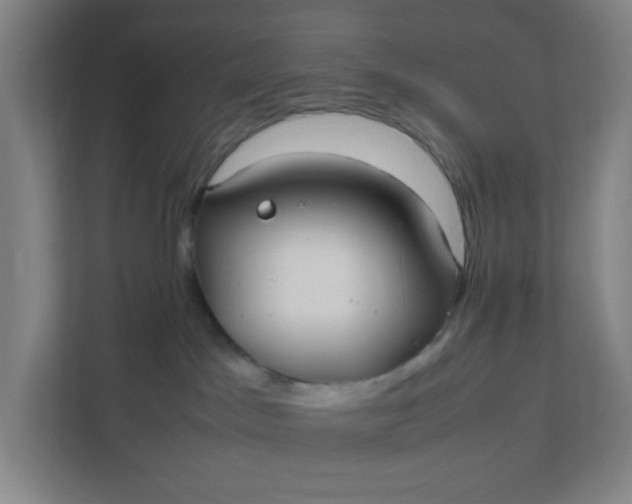 X0000111950045200908101231