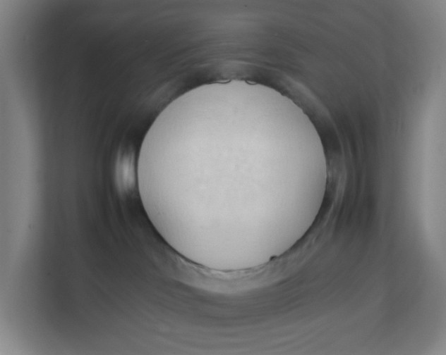 X0000111950046200908101231