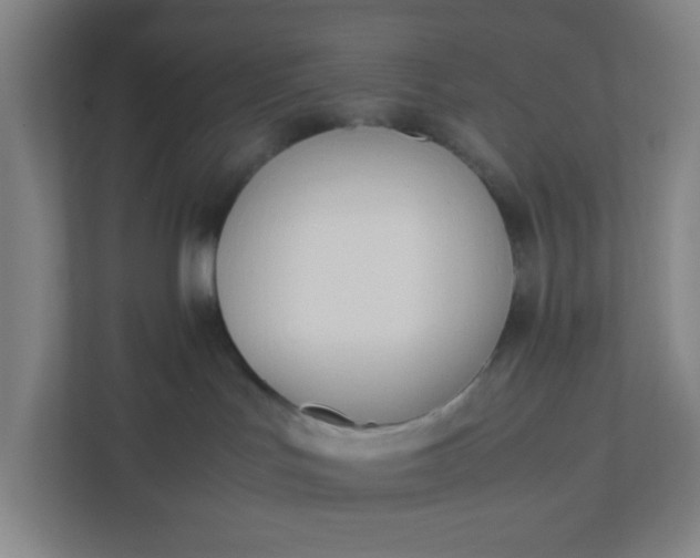 X0000111950047200908101231