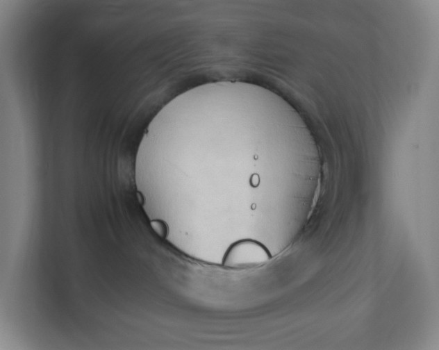 X0000111950048200908101231