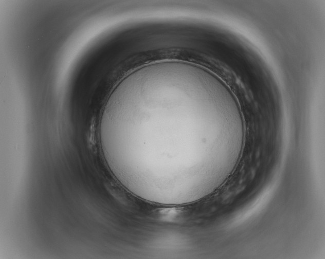 X0000111950050200908101230