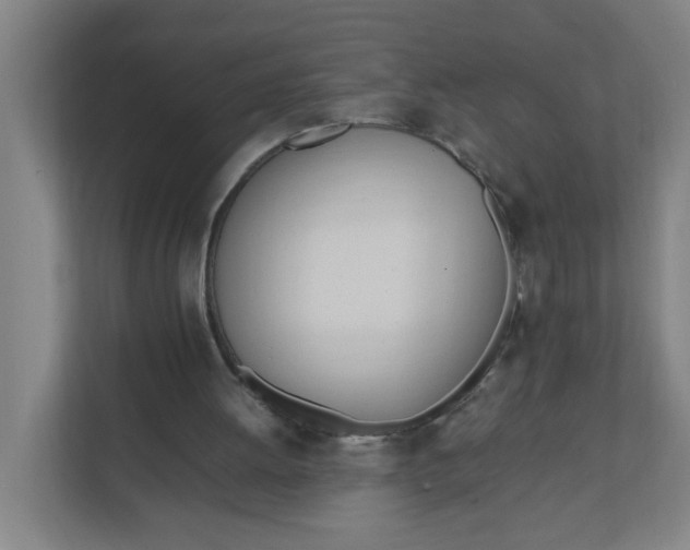 X0000111950052200908101230