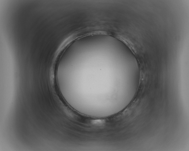 X0000111950053200908101230